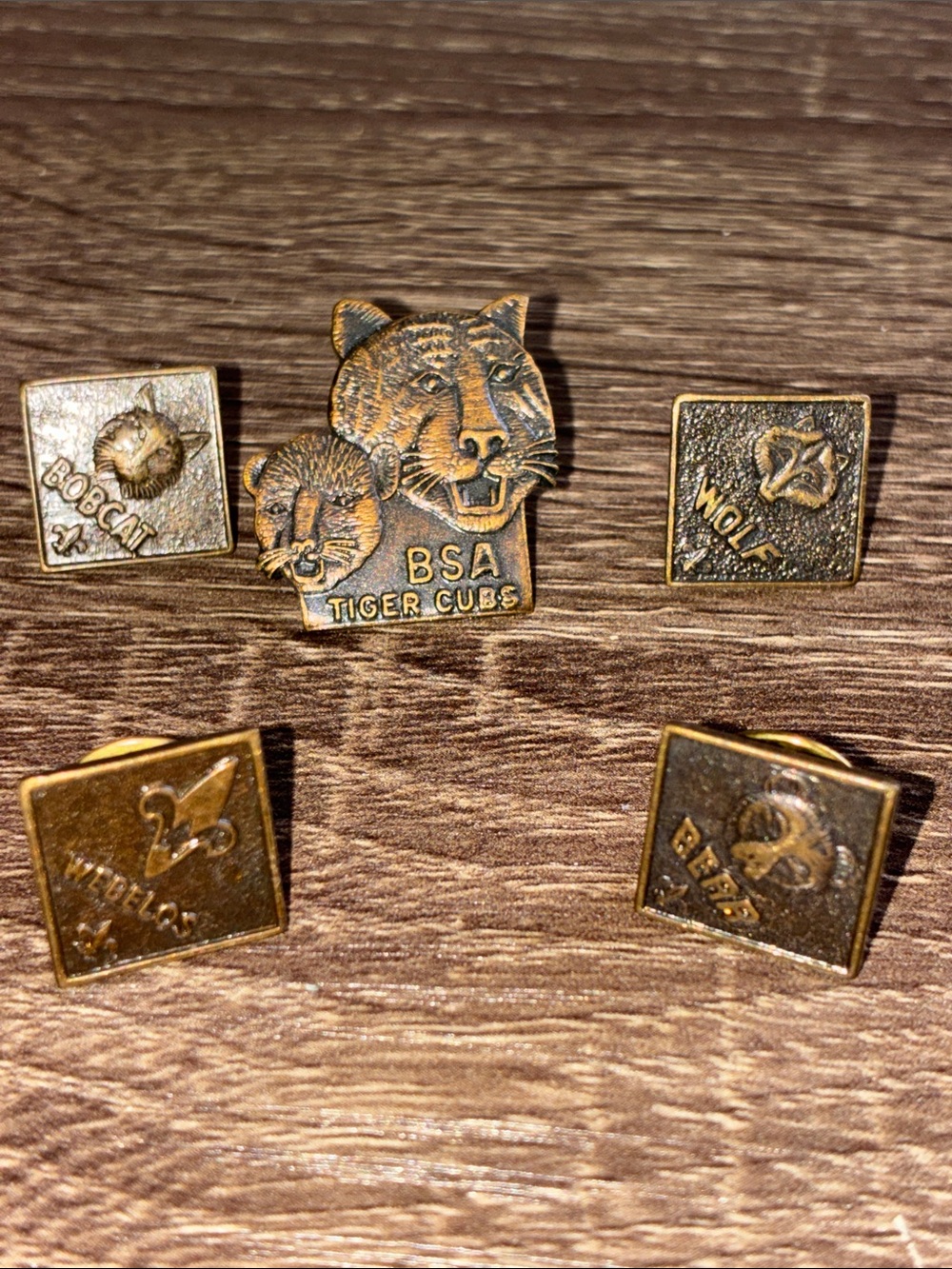 Vintage Bronze Tone Boy Scout Lot of 5 Lapel Pin Set
